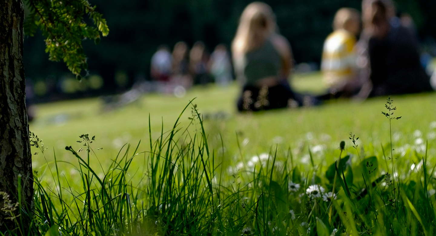 Help Is Always One   Tap Away