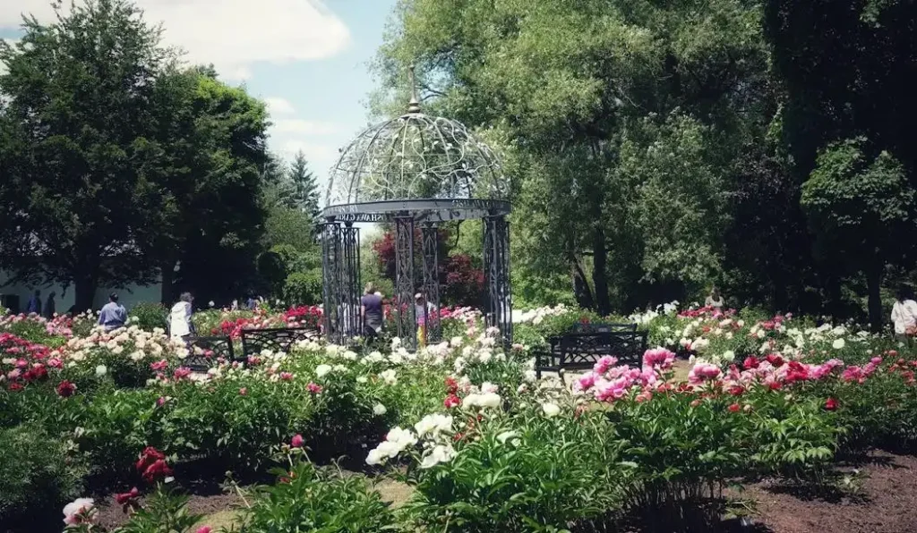 A scenic stone path winding through lush gardens with a wooden bridge and colorful flower beds.